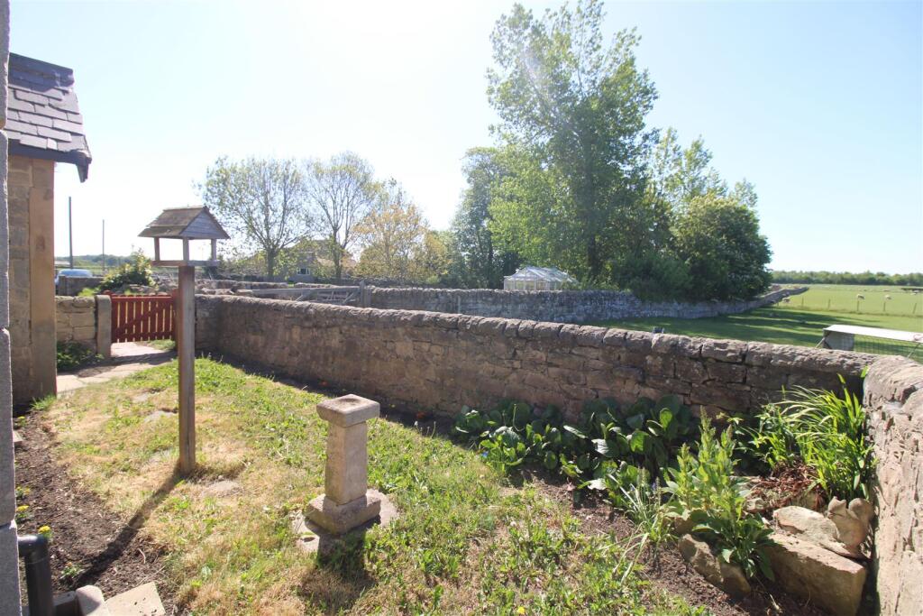 Front Garden (1).jpg