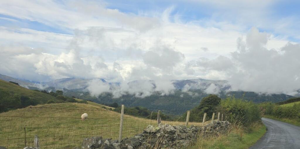 WhatsApp Image 2025-09-04 at 12.38.42_68ed4eac.jpg