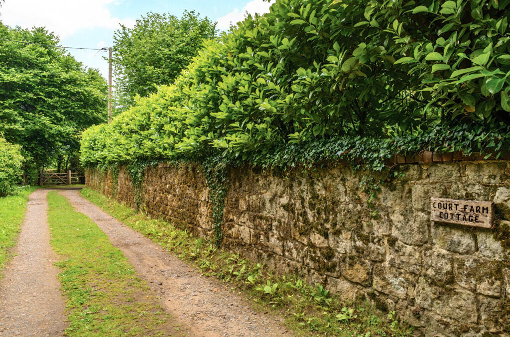 1307144-1-684ac13...