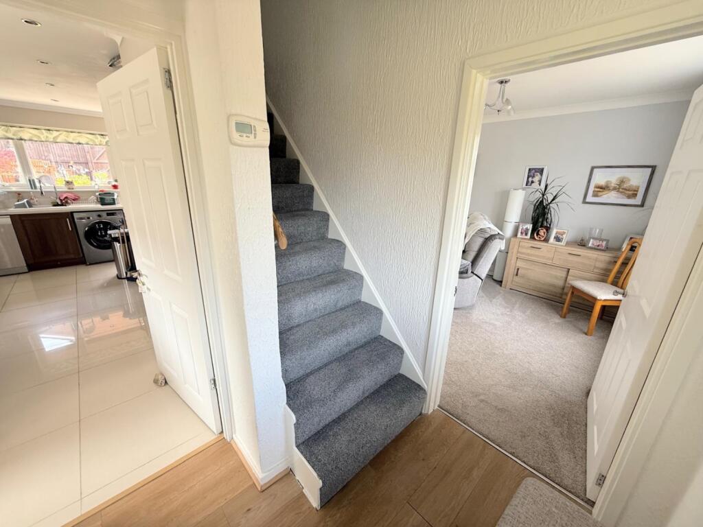 PHOTO-2025-07-03-20-26-47 13