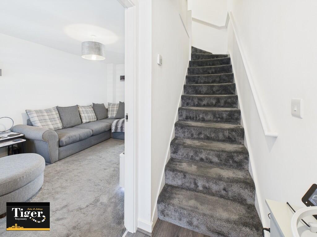 CAM02176G0-PR0519...