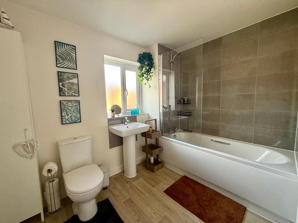 WhatsApp Image 20...