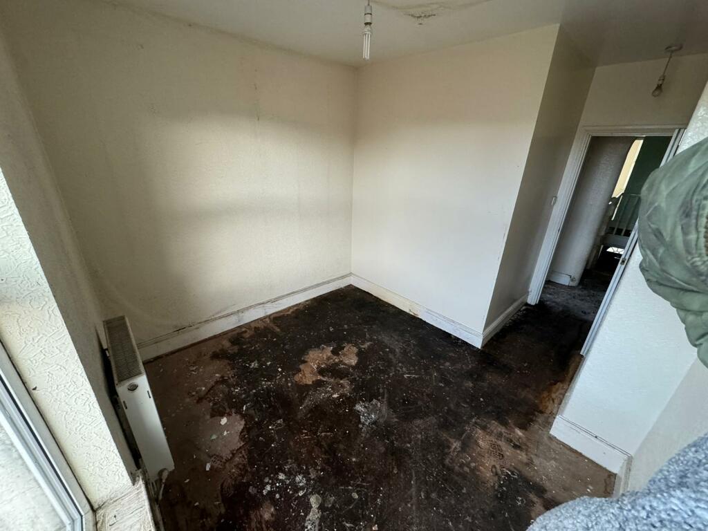 PHOTO-2024-11-29-16-49-38 (2) T202412021128.jpg