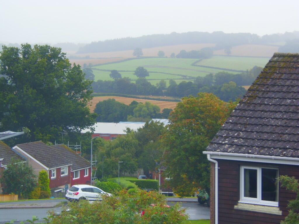 View from Bed 2