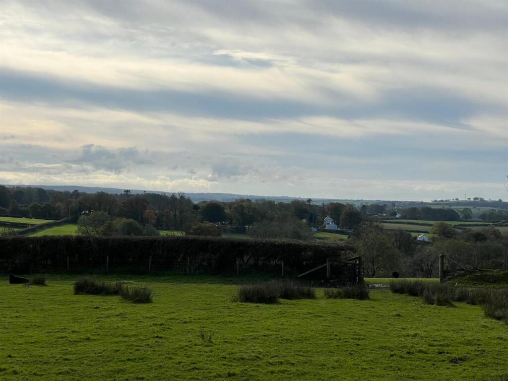 The View