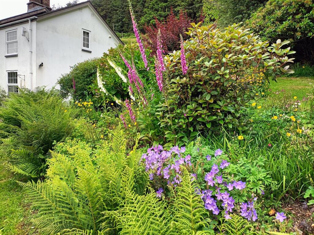 Crud Yr Awel Garden.jpg