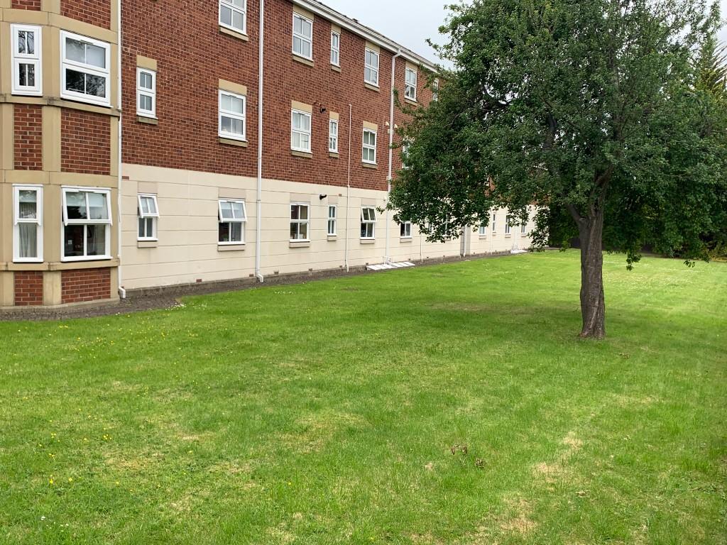 Communal Garden