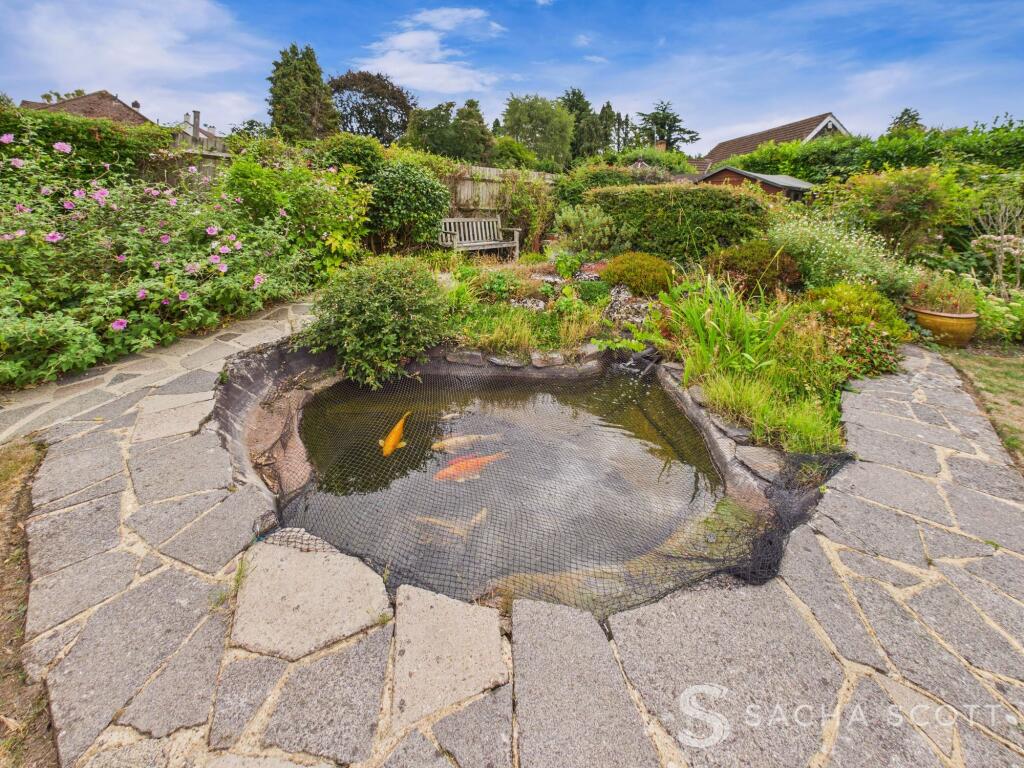 Garden Pond