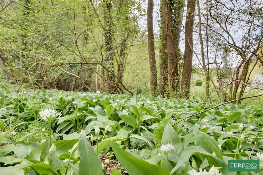 Woodland