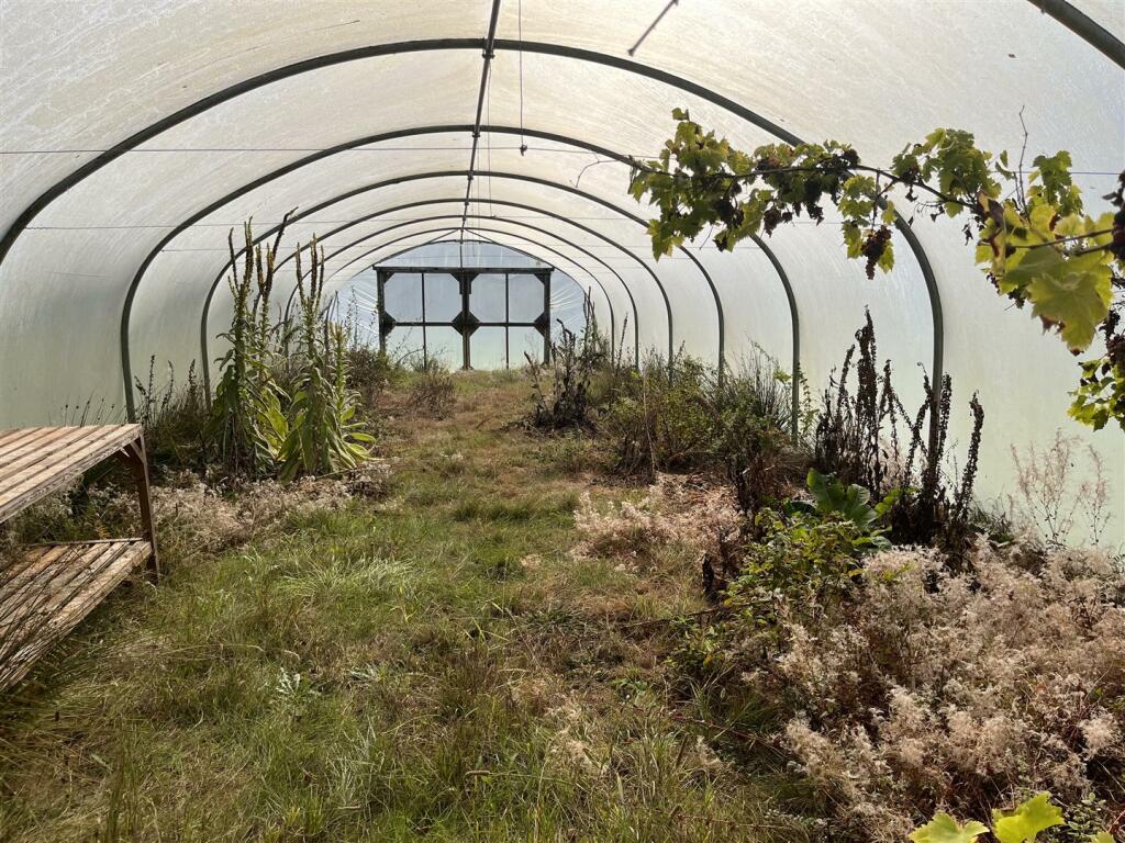 poly tunnel.JPG