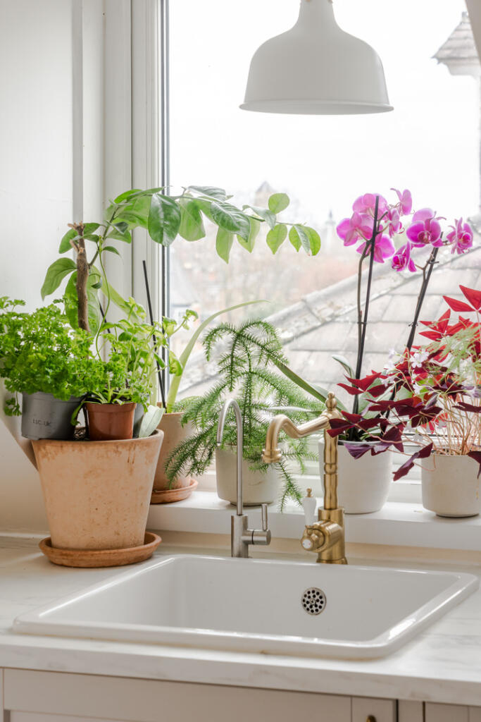 268660 - 5, 54 Anson Road-29.jpg