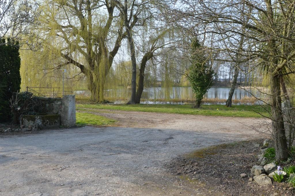 View over pond