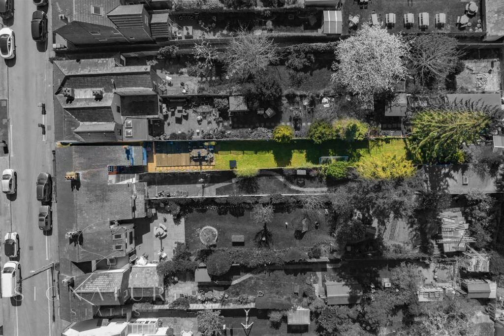 Drone View.jpg