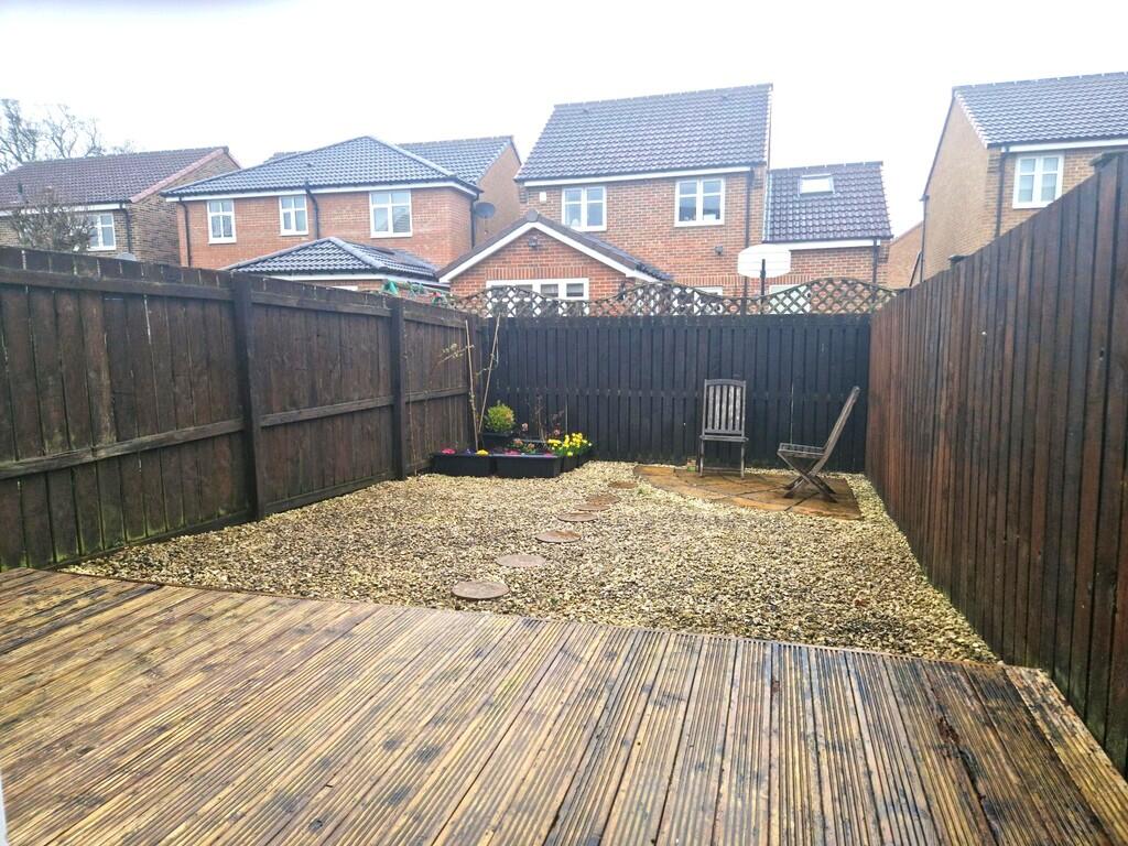 IMG_9323_6_origin...