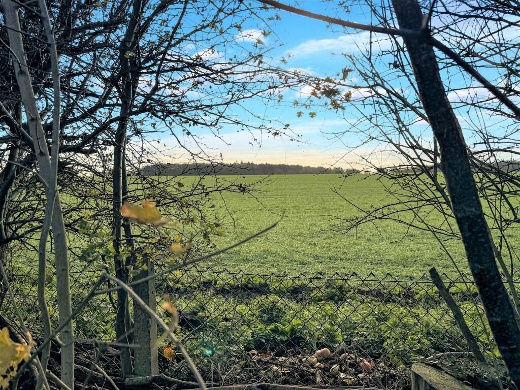 OUTLOOK FROM REAR...