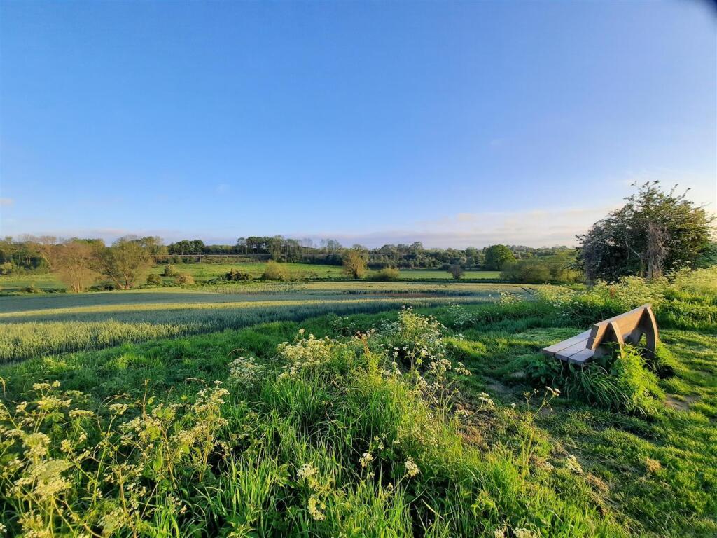 Surrounding Area 3.jpg