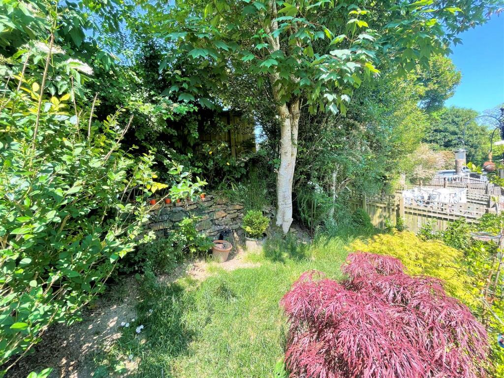 Garden .jpg
