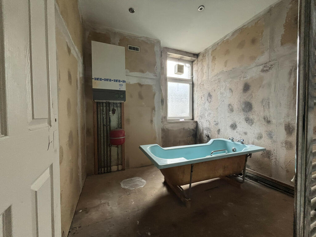 IMG 4981 T202411201200.jpg