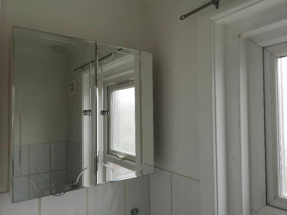Shower room mirror