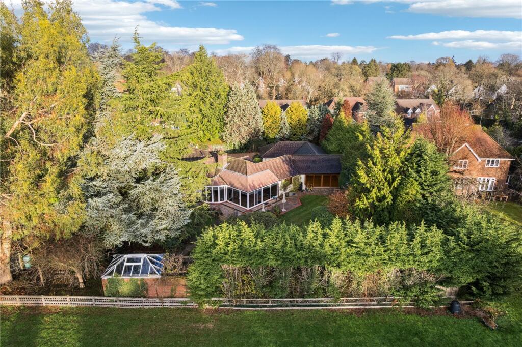 Elevated View