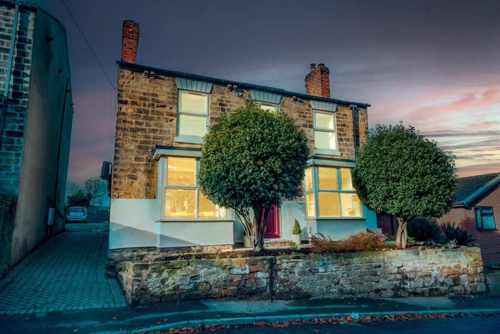 Ted &amp; Tortois...