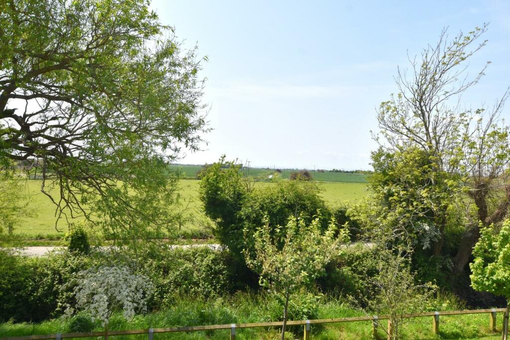 DSC_0007.JPG