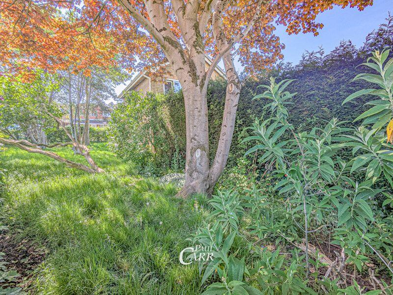 Side Garden