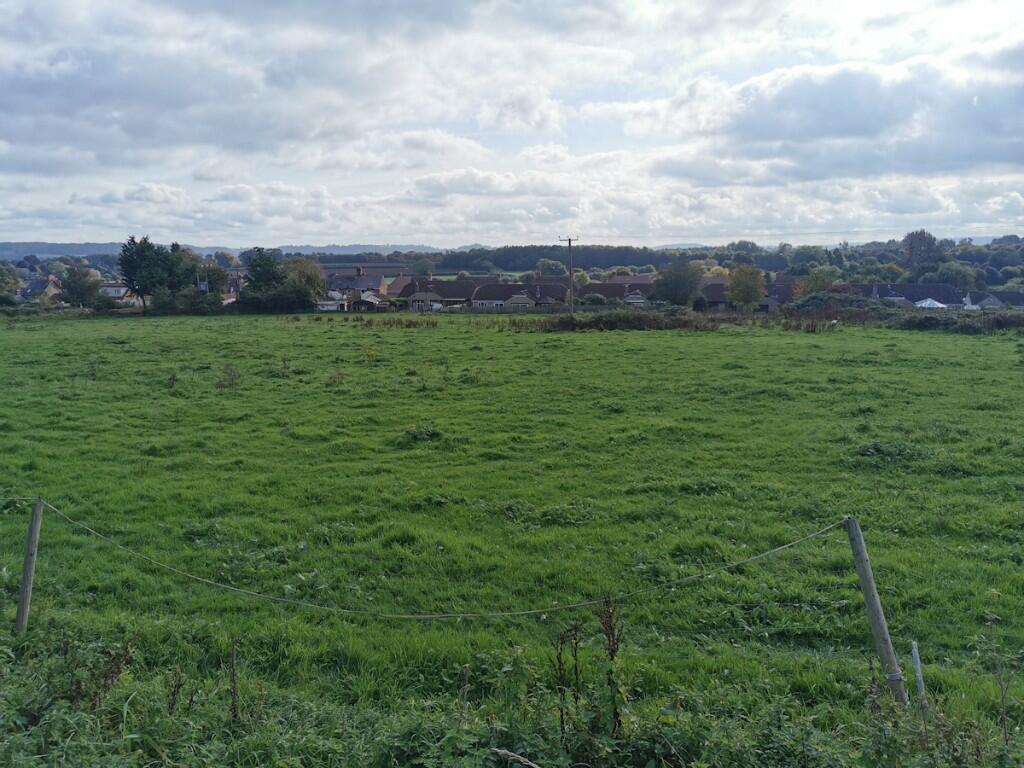 NE Field