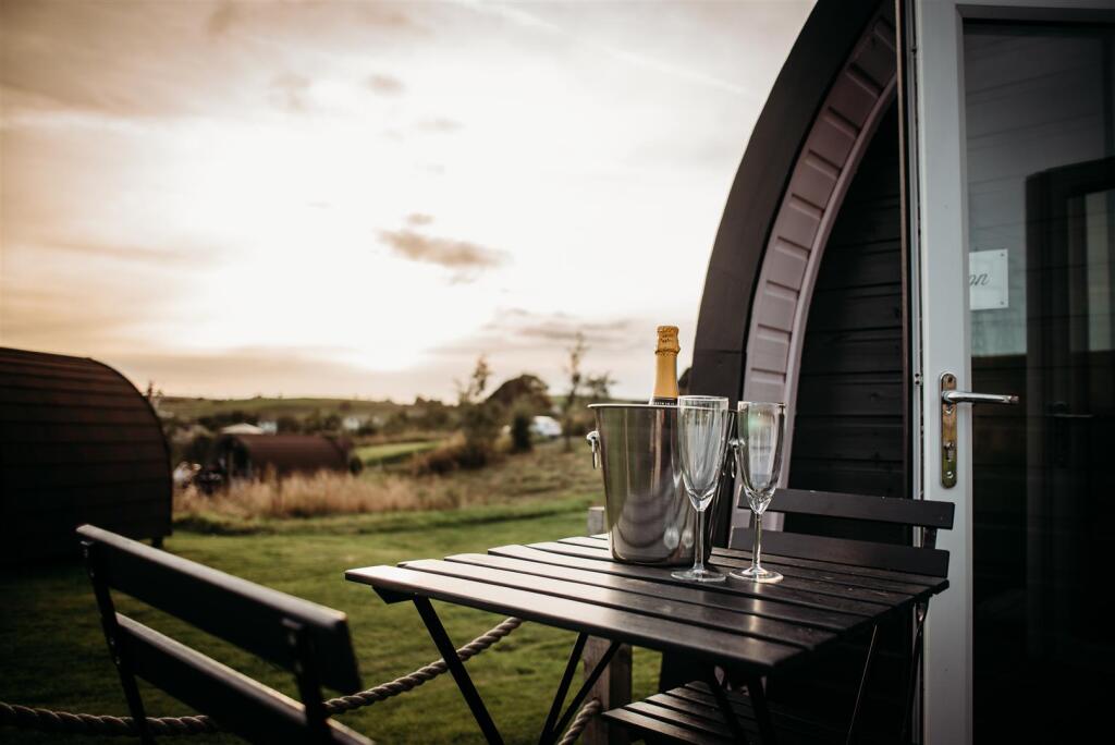 Falcon view RHC.JPEG