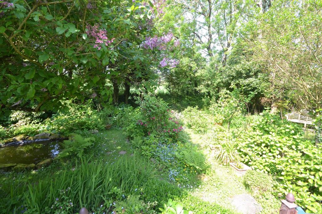 DSC_1382.JPG