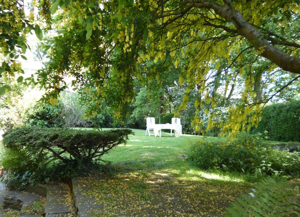Rear Gardens in the Summer