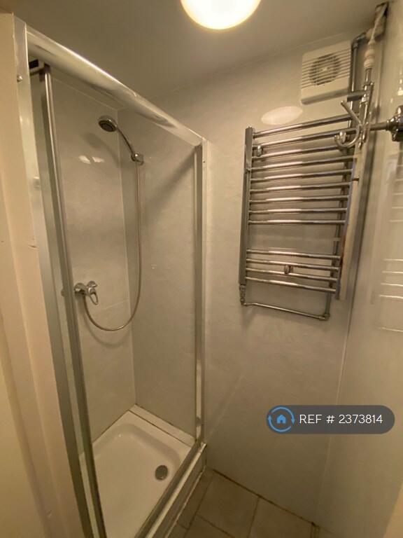 Downstairs Shower