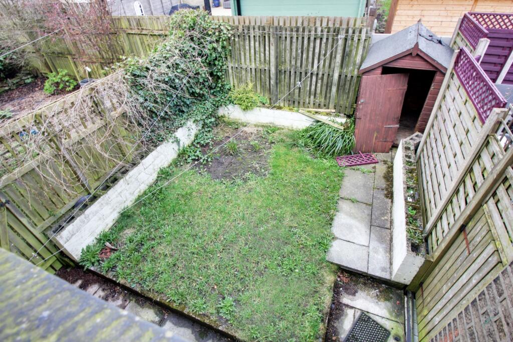 Back Garden