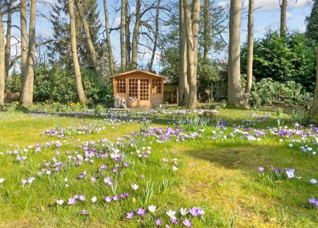 External - Rear Garden