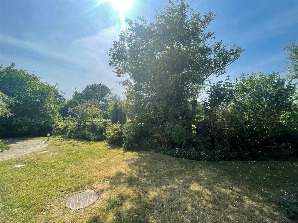 Front garden.jpg