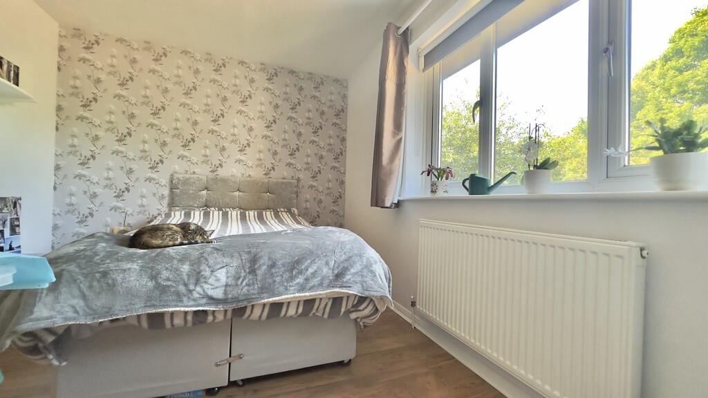 FullSizeRender (3...