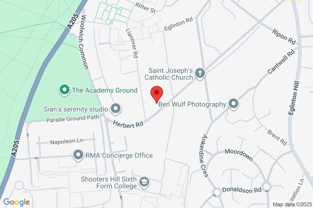 Google Maps Image