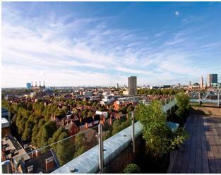 Communal Rooftop Terrace