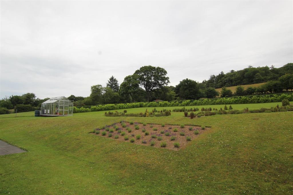 garden.JPG