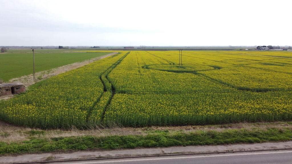 DJI_0569.JPG