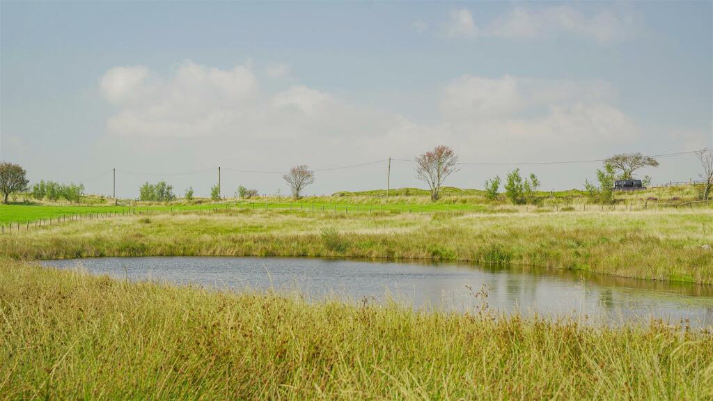 The Land