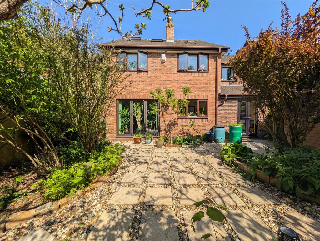 Back Garden 3.jpg