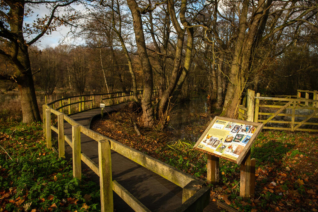 The area local to Russet Park, Copmanthorpe