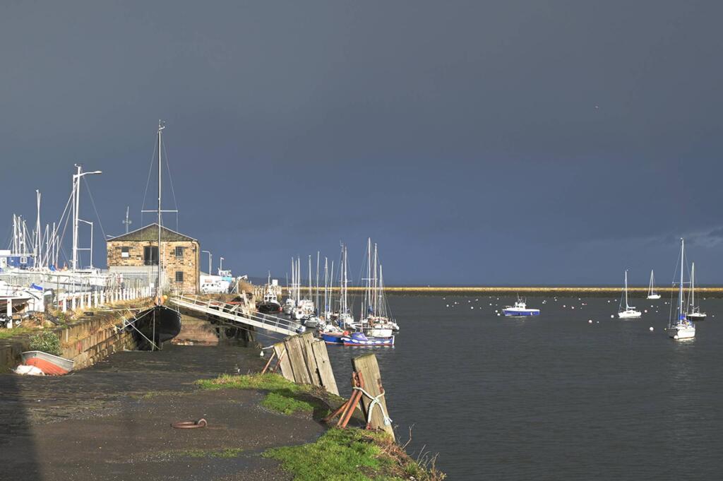 MFL8248939_917.jpg
