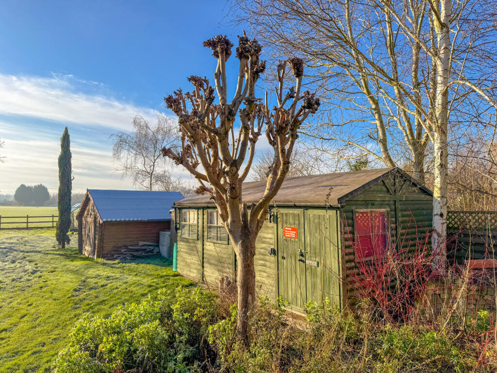 Rear garden 2