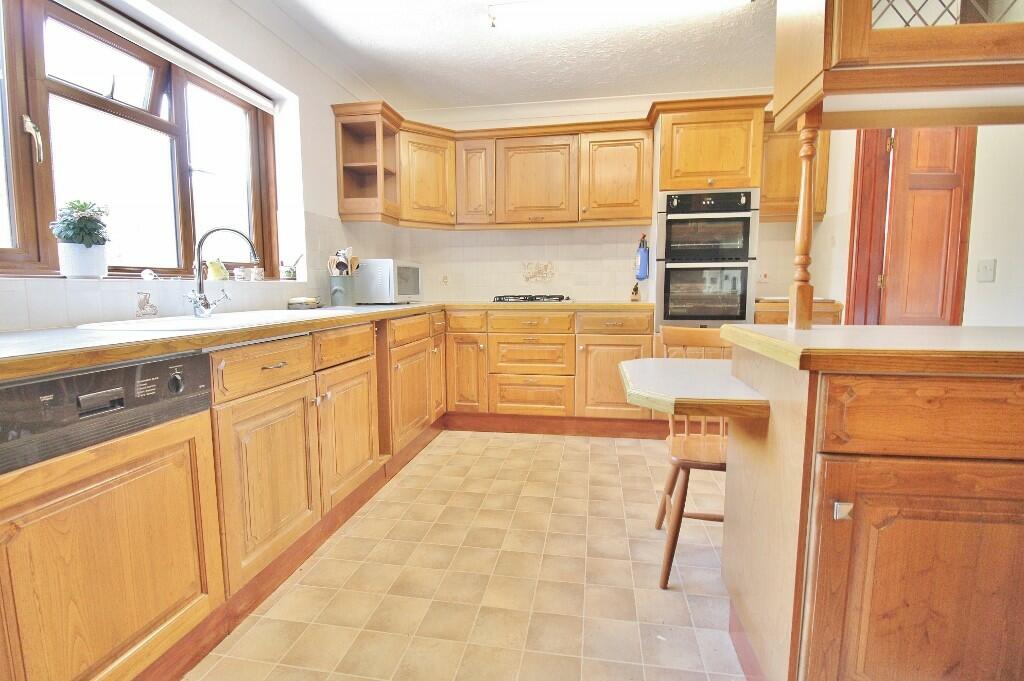 IMG_5508 (1024x68...