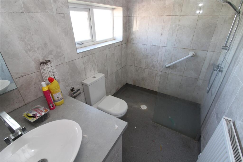 IMG 4937  Medium  T202504101031.jpg