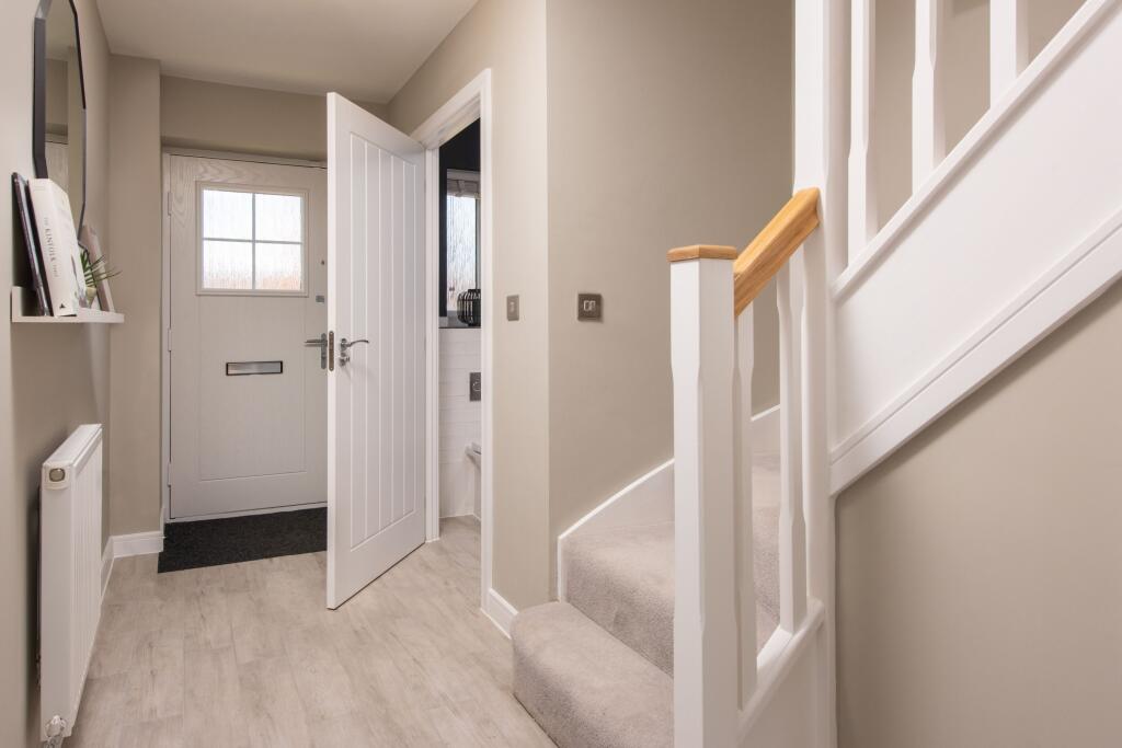 Showhome Photography