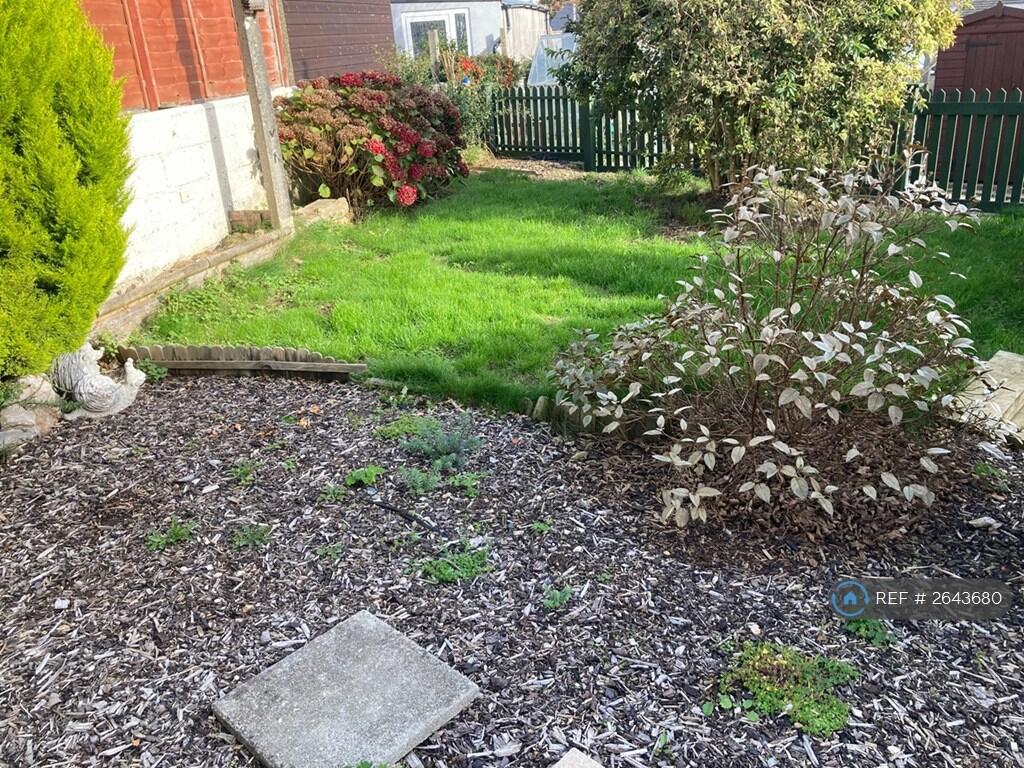 Back Garden