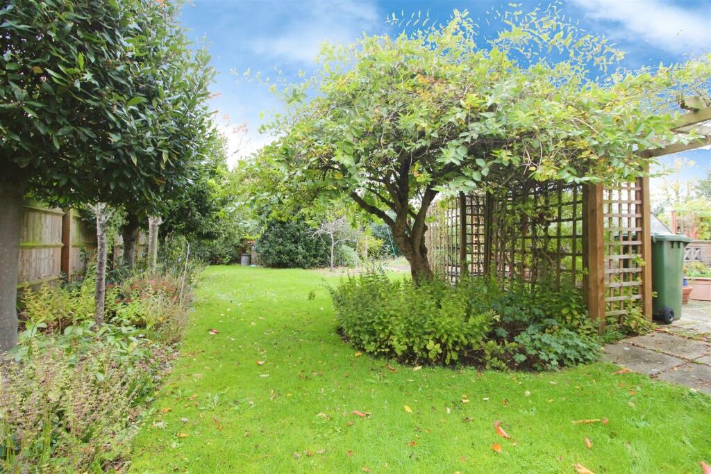 garden 204.jpeg